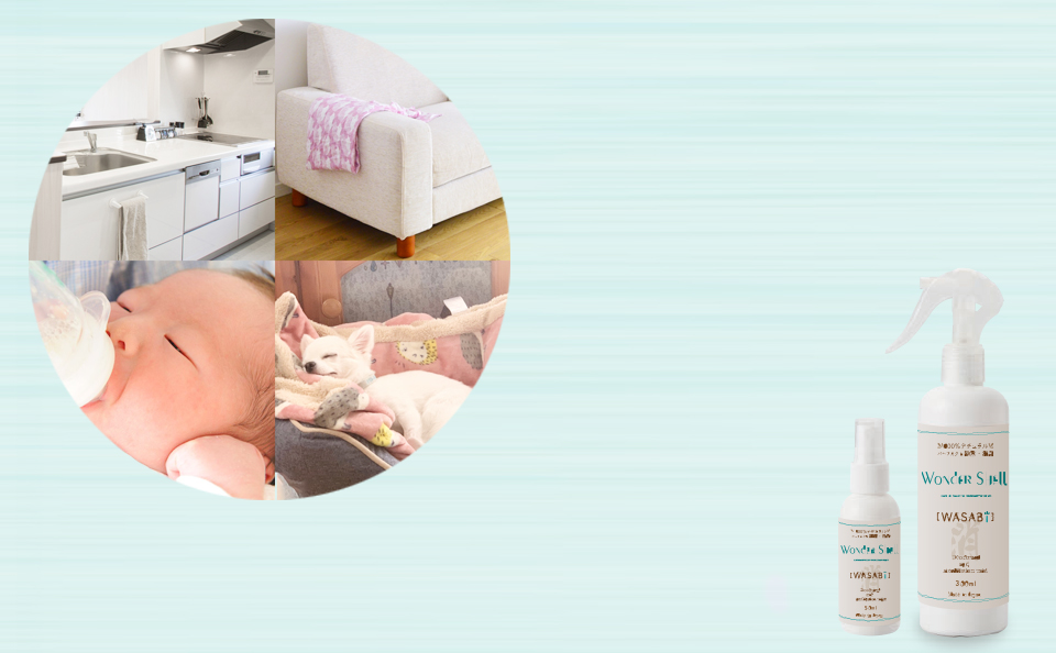 ワンダーシェル“WASABI”　除菌・消臭ミスト
